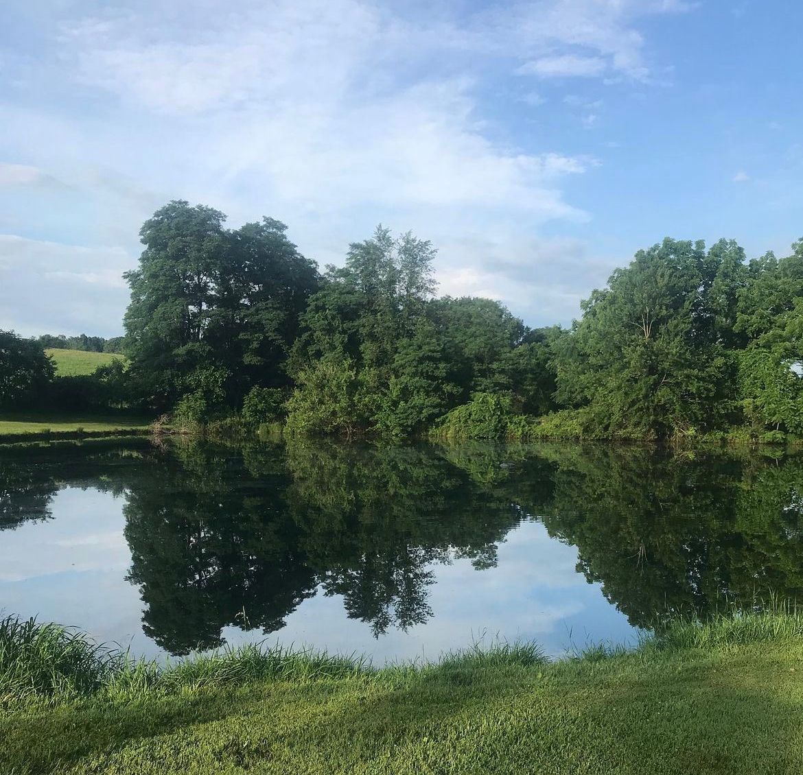 Private Pond algae control after