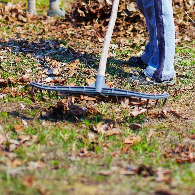 A person is raking leaves in a yard with a rake.