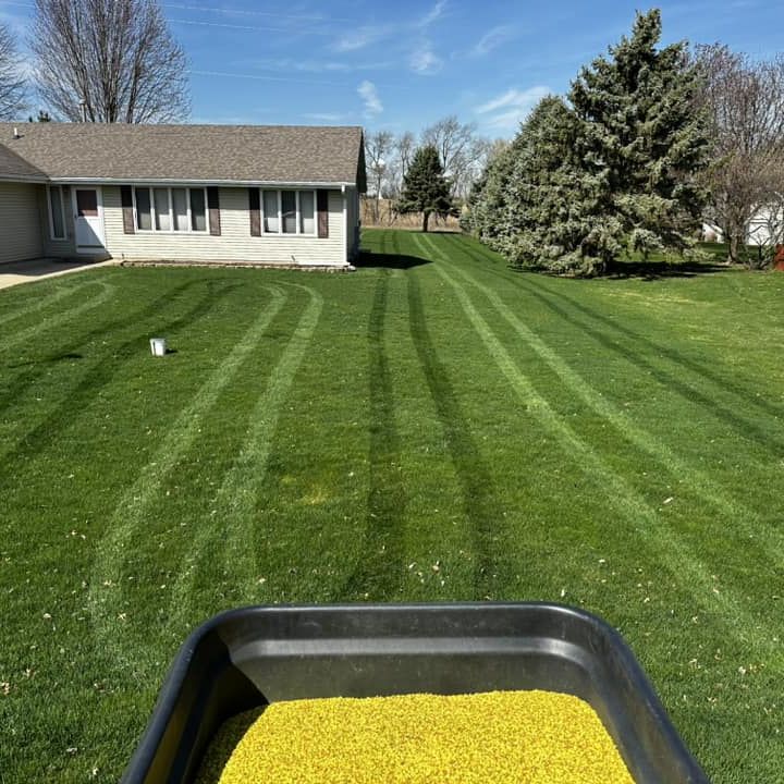 A tray of yellow fertilizer sits in front of a lush green lawn