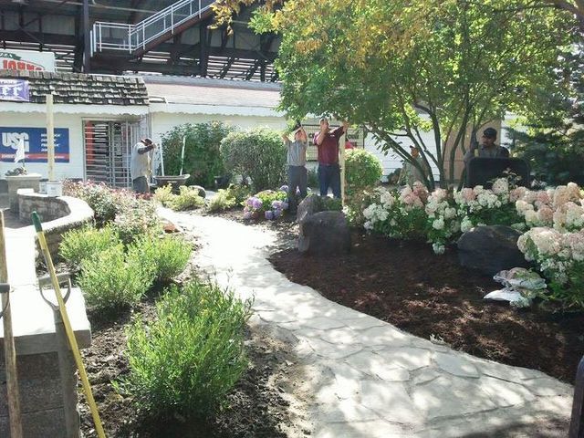 a group of people are working on a path in a garden