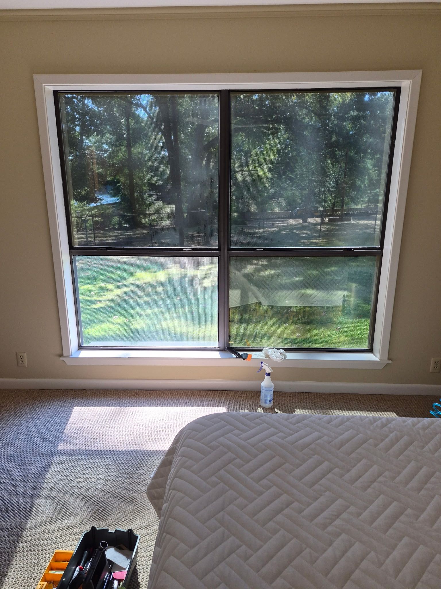 Sunlit living room window with two panes, trees outside, and a beige rug in the foreground