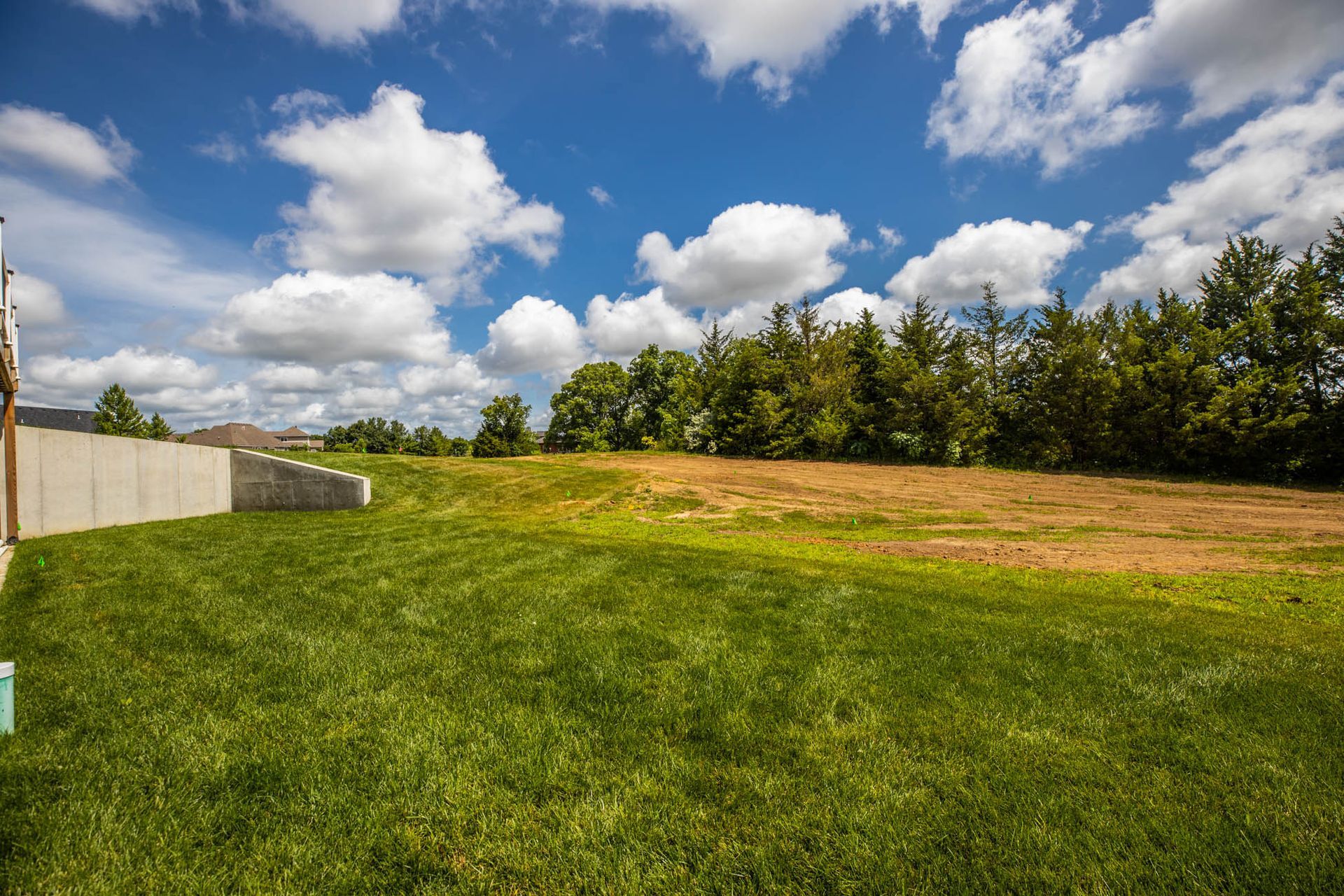 A large lush green field with trees in the background and a blue sky with clouds