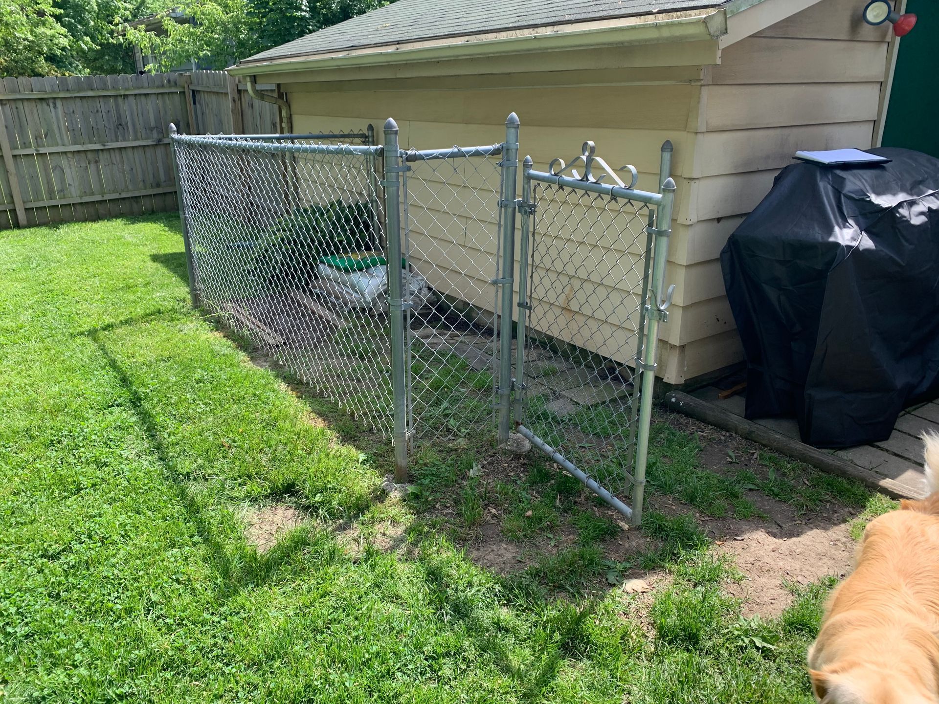 Chain-link dog run beside beige garage with covered grill and a dog at the edge of the yard