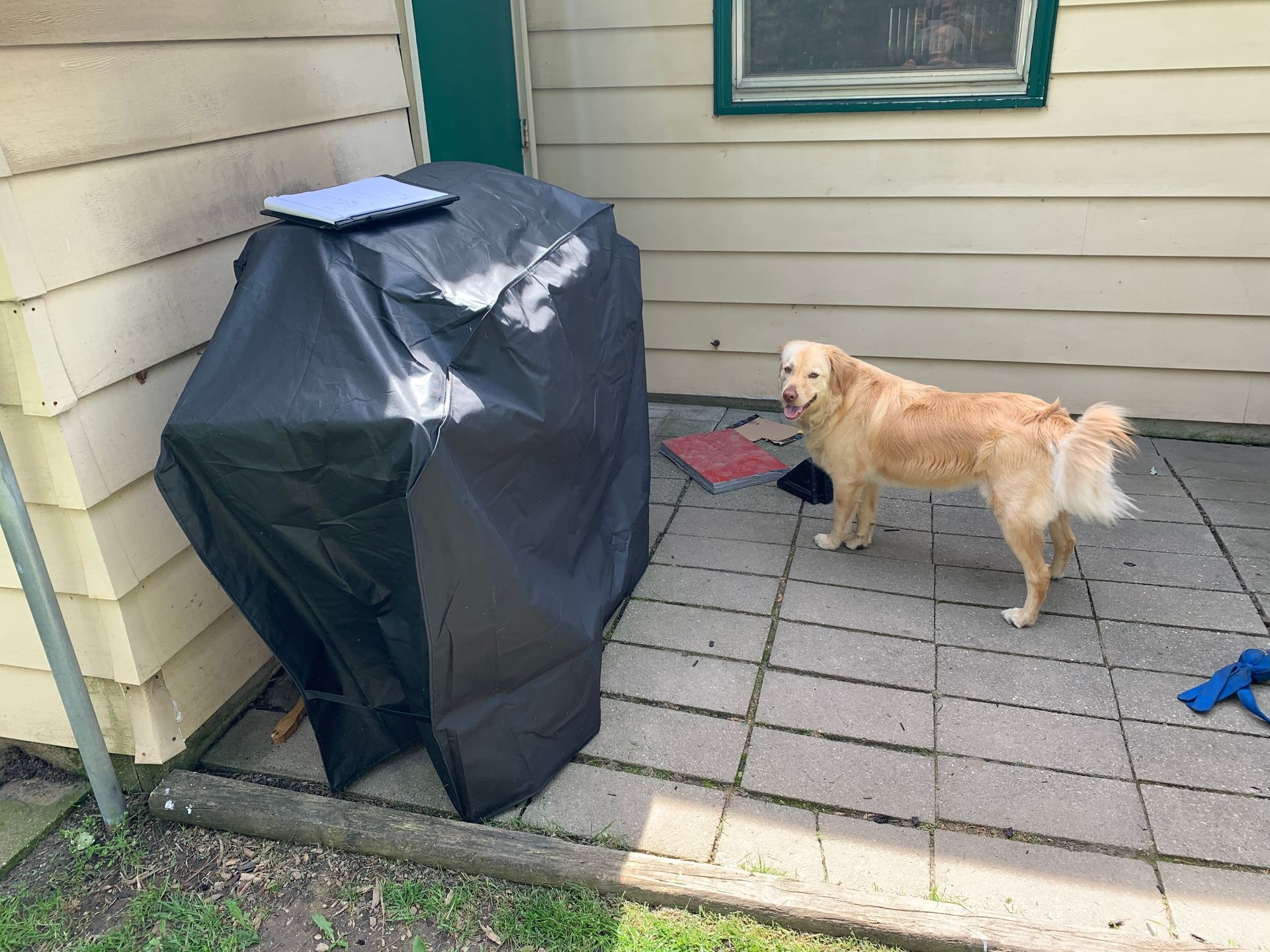 Yellow dog on a tiled patio beside a covered grill, facing a house wall.