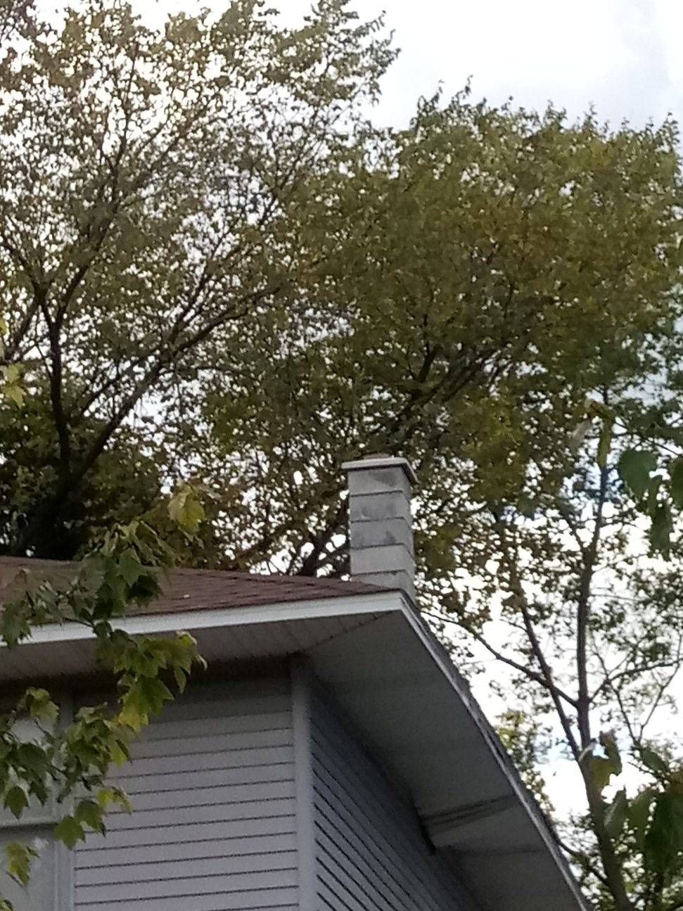 Gray house roof with chimney under leafy trees