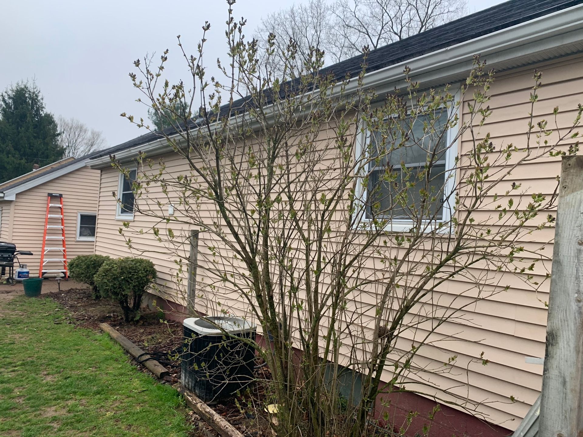 Side of a beige house with small windows, shrubs, and a grassy yard on an overcast day