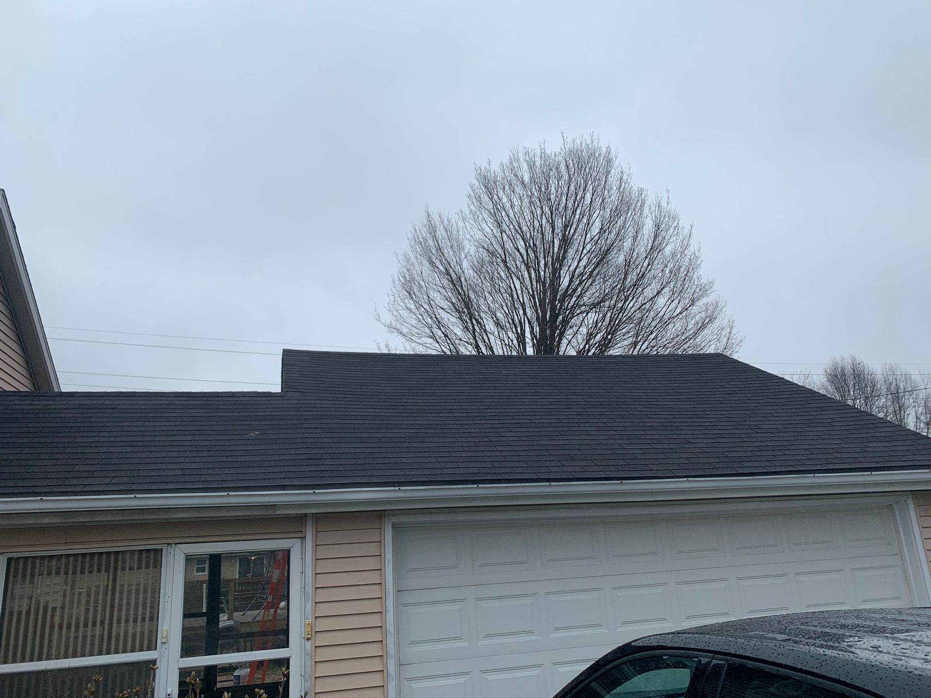 Suburban house with dark roof, beige siding, garage, and bare trees under an overcast sky
