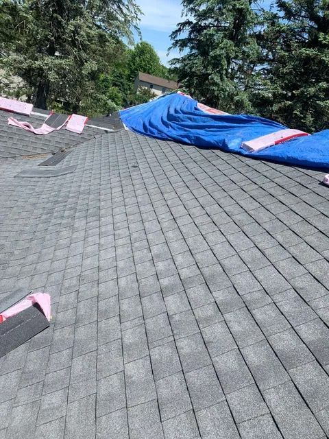 Outdoor paved walkway with pink cones, trees, and a blue tarp-covered object along the side