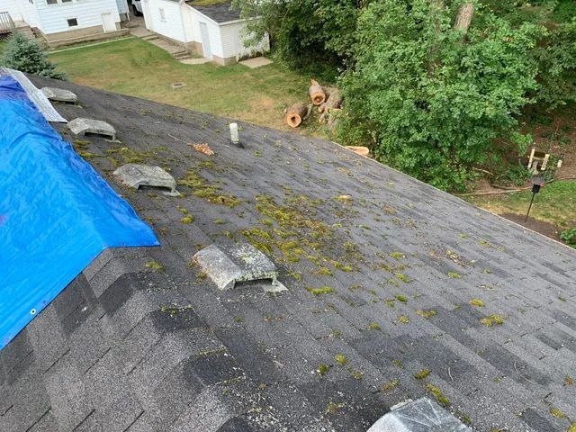 A tilted view of a gray stone wall with a blue tarp and greenery below, seen from above.