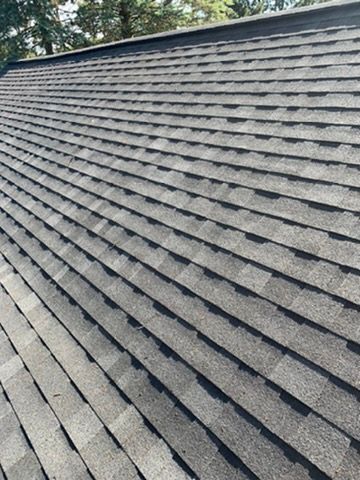 Close-up of a gray shingled roof with tree tops visible along the edge
