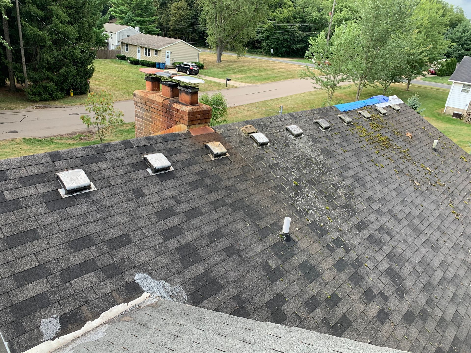 Rooftop shingles with several roof vents, overlooking a tree-lined neighborhood street and houses.