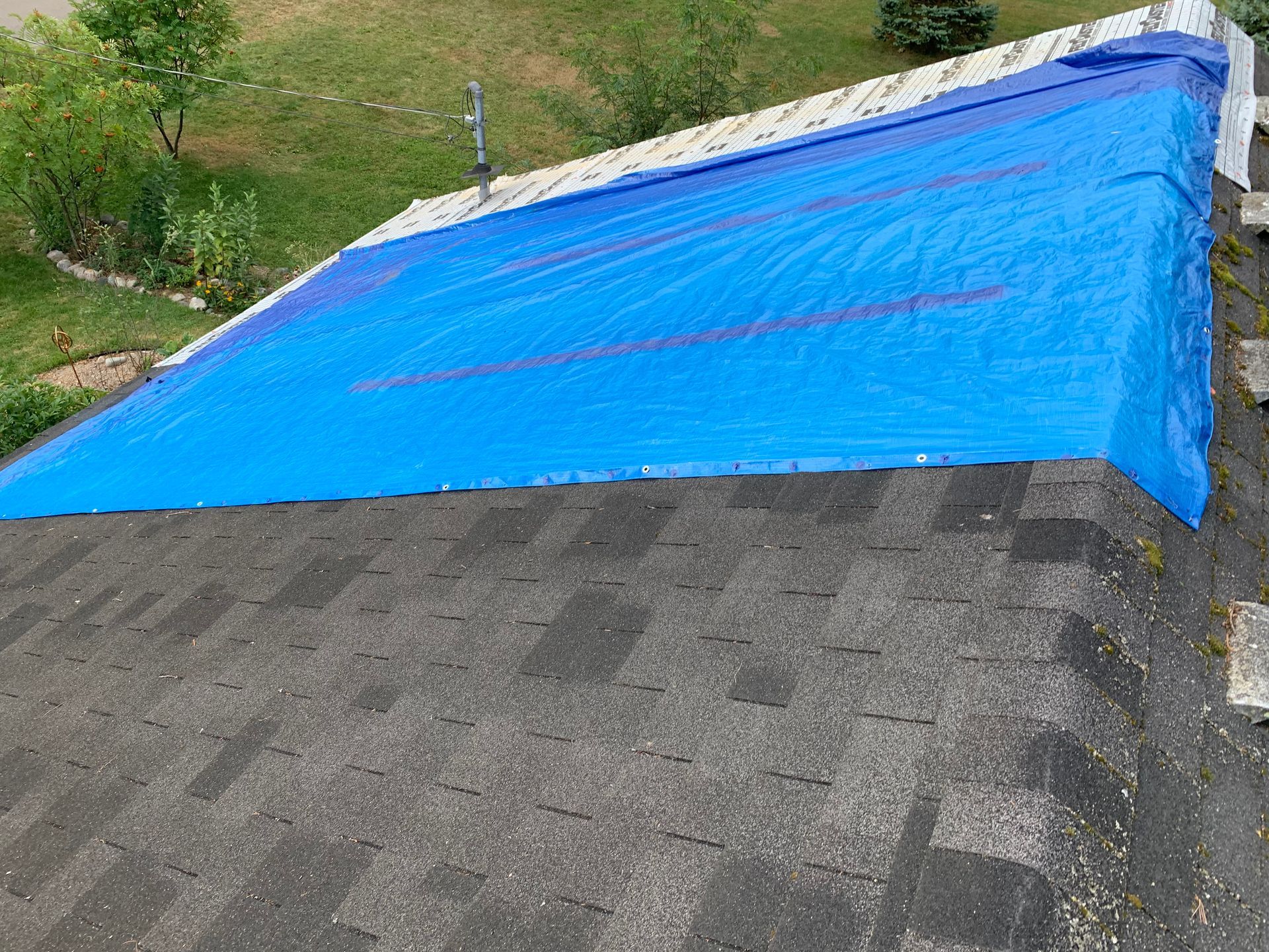 Blue tarp covering a rooftop section with gray shingles and green trees in the background