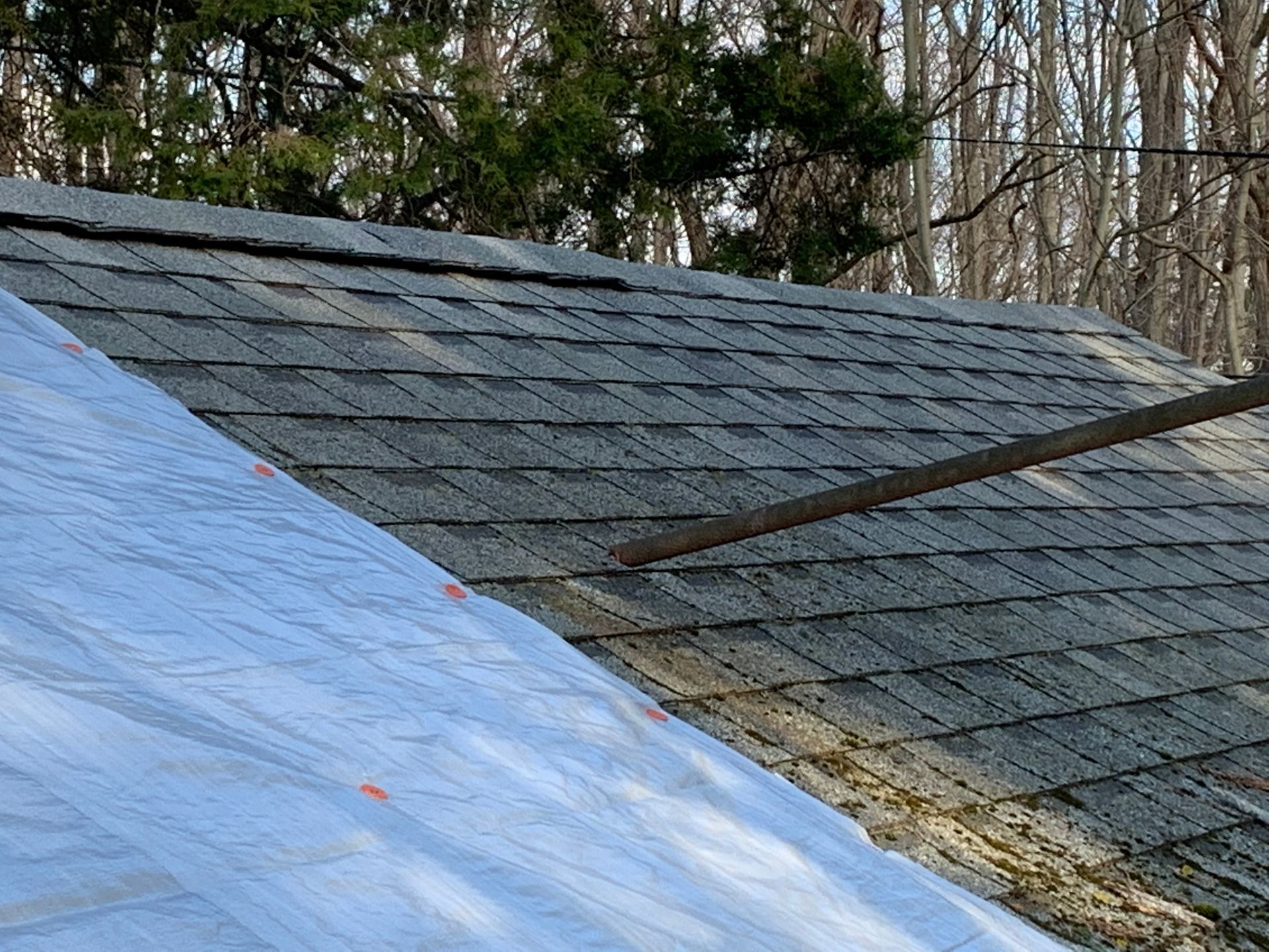 Partly covered roof with dark shingles and a blue tarp in a wooded area