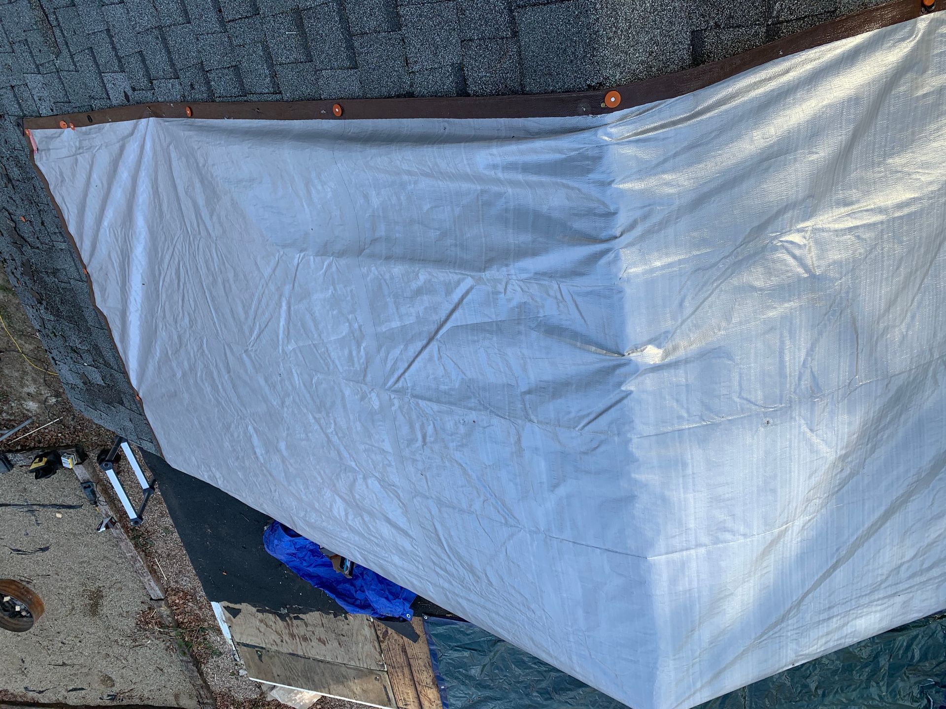 White tarp or sheet draped between trees over a small outdoor area, with a blue object beneath it.