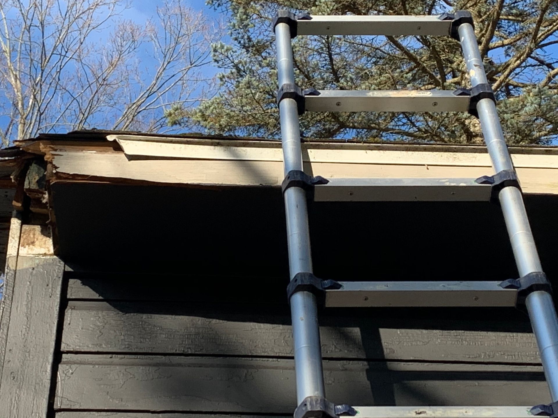 Metal ladder leaning against dark house siding beside the roof edge under a blue sky