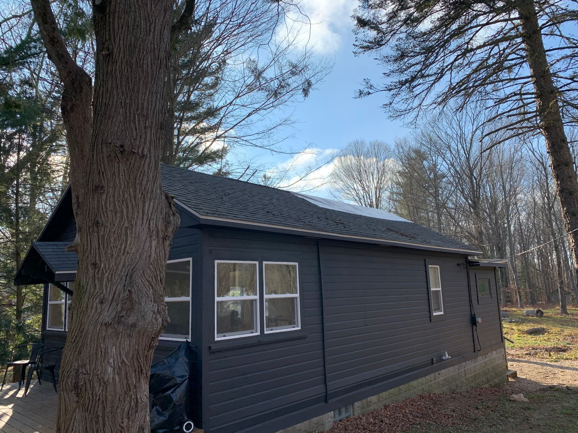 Dark gray cabin among tall trees in a wooded area, with leafless branches and a sloped roof.