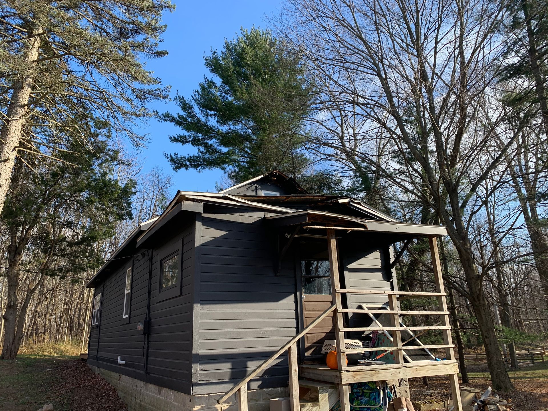 Small gray cabin under construction in a wooded yard on a sunny day