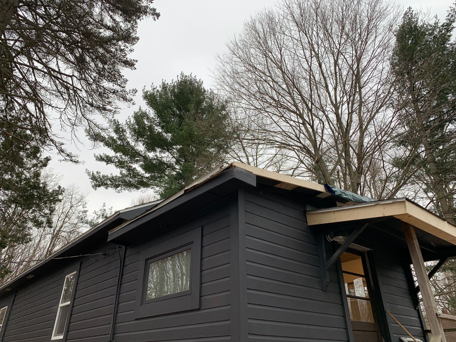 Dark gray house exterior with a slanted roof under bare winter trees