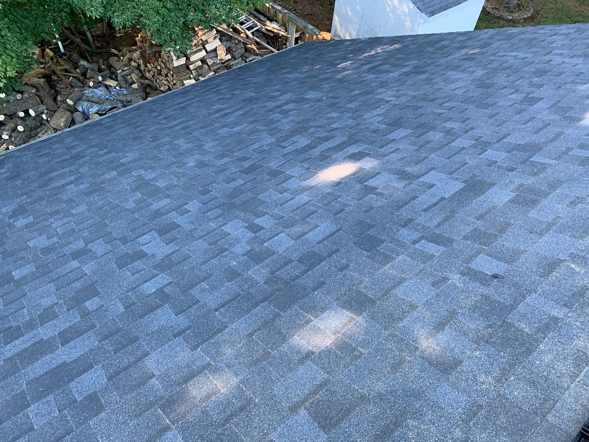 Gray shingle roof with a few sunlit patches near a leafy edge and white vent in the background
