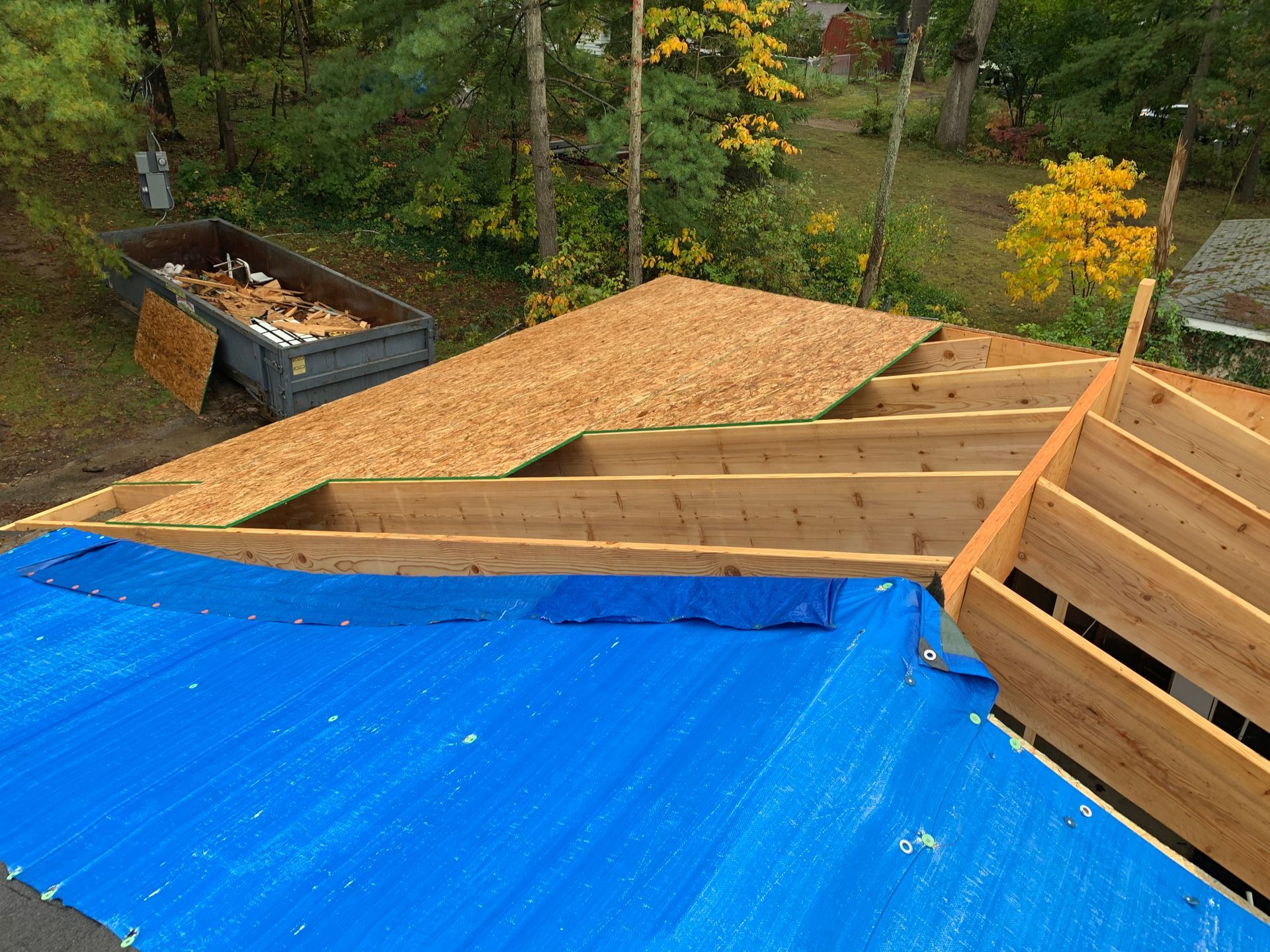 Roof construction with blue tarp, exposed wooden framing, and plywood sheathing outdoors