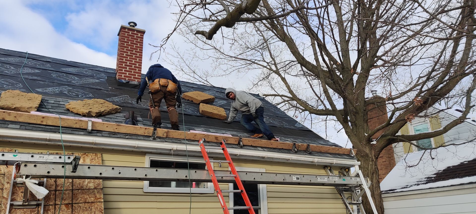 Workers repairing a shingled roof with a red ladder beside a large tree
