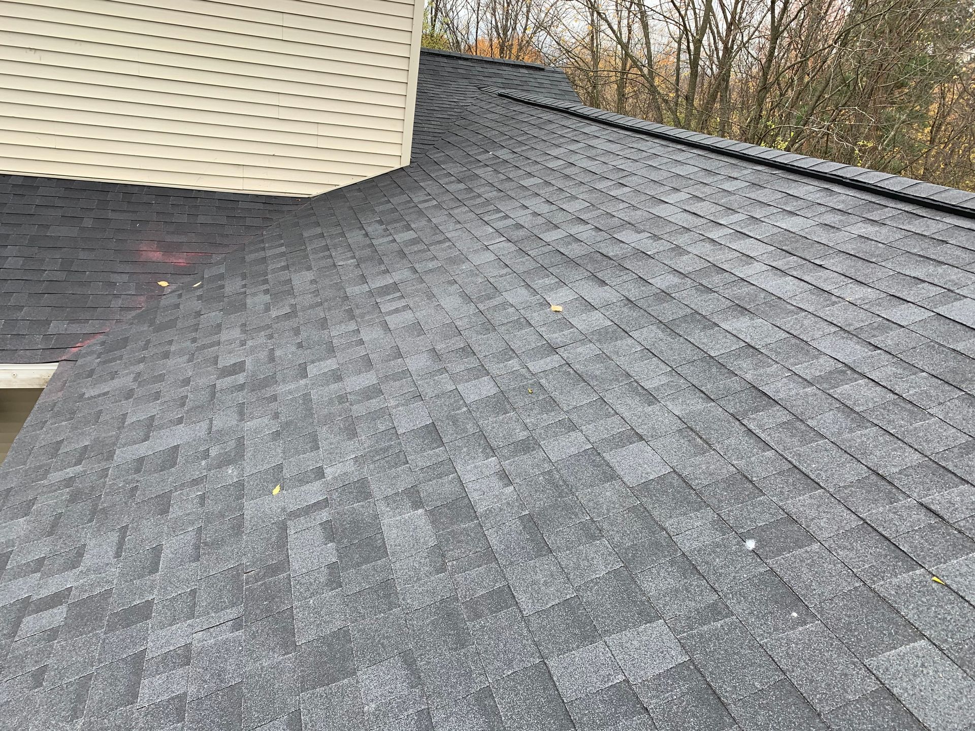 Gray shingled roof meeting a beige house wall, with trees visible in the background.