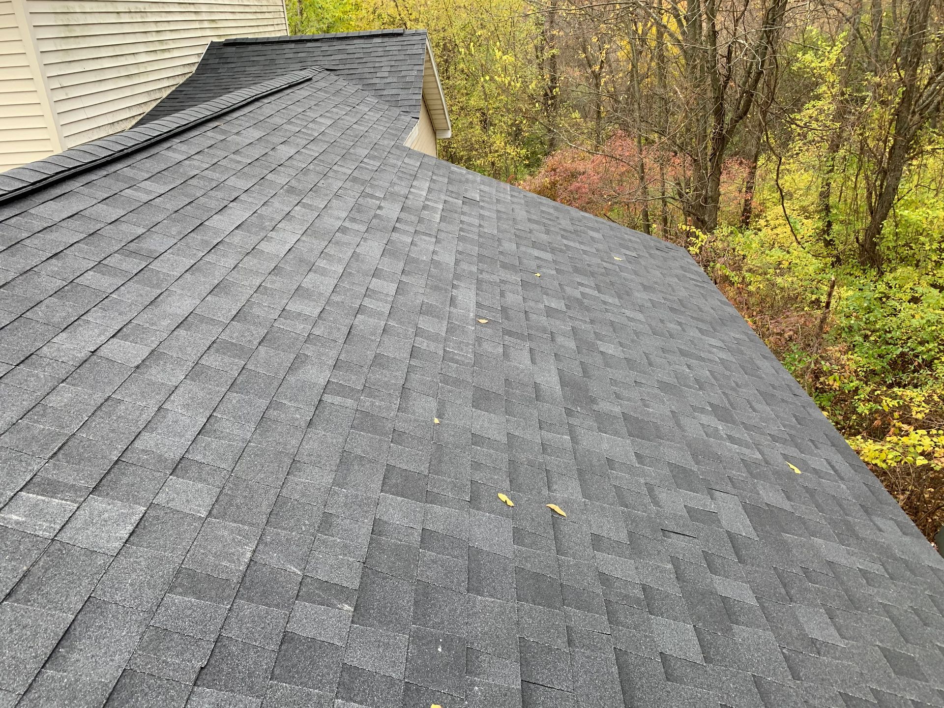 Gray shingled roof with a steep slope and autumn trees in the background