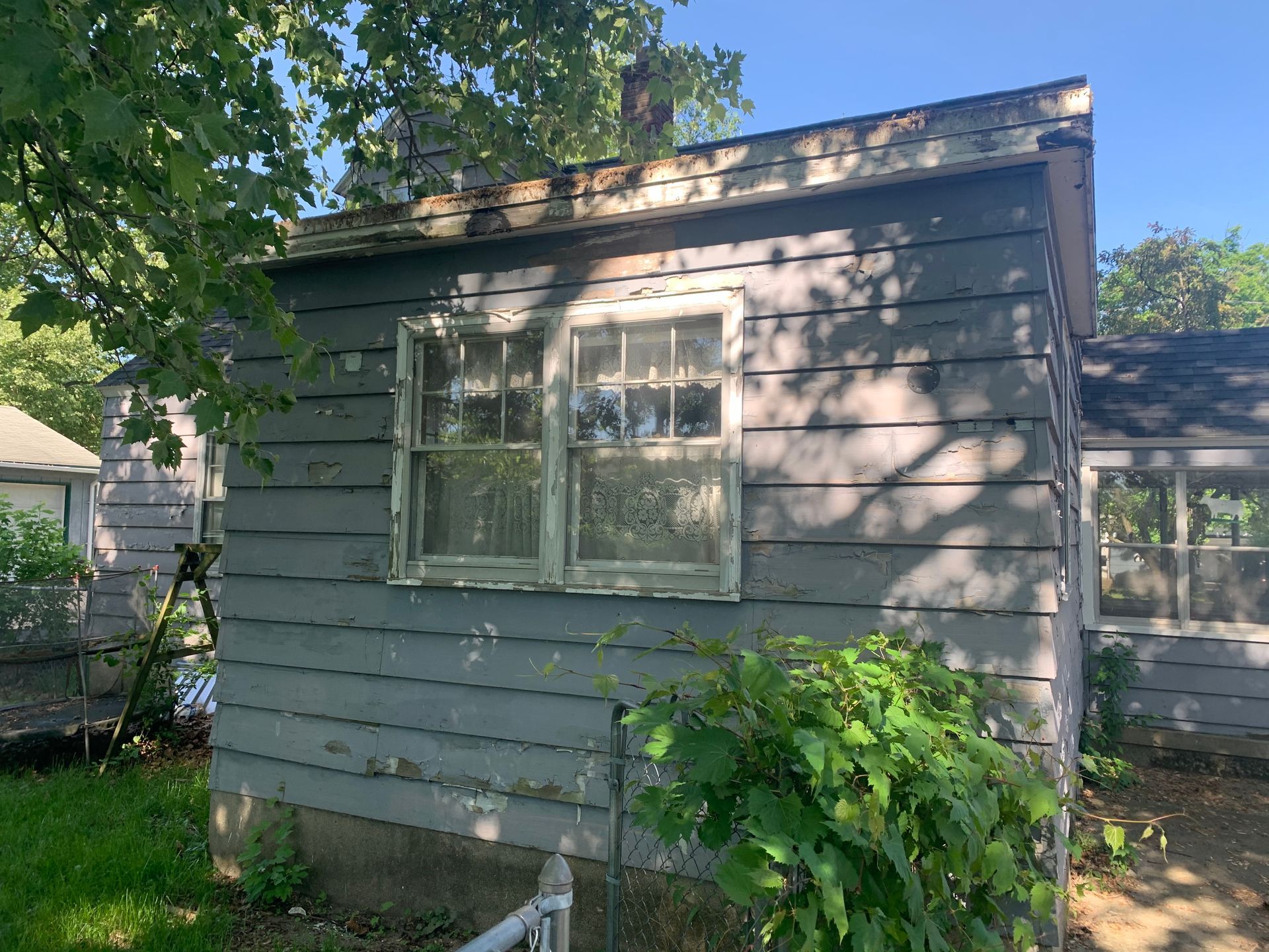 Weathered gray shed with a window, partly shaded by trees in a backyard