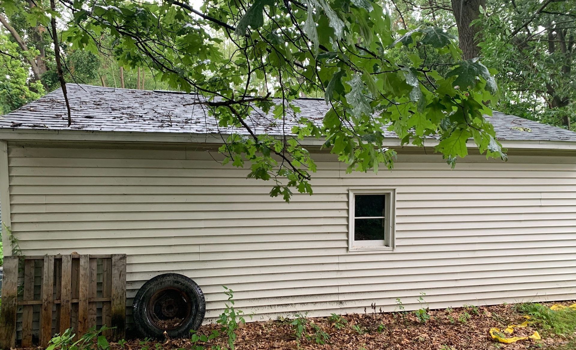 White-sided shed with a small window, framed by leafy tree branches and a wooden fence.