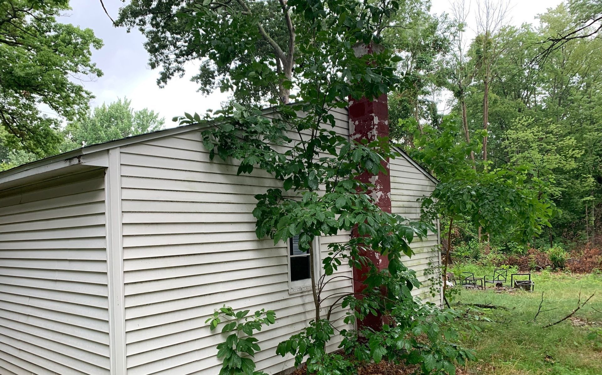 White shed beside trees and greenery, with a red chimney and vines climbing the side.