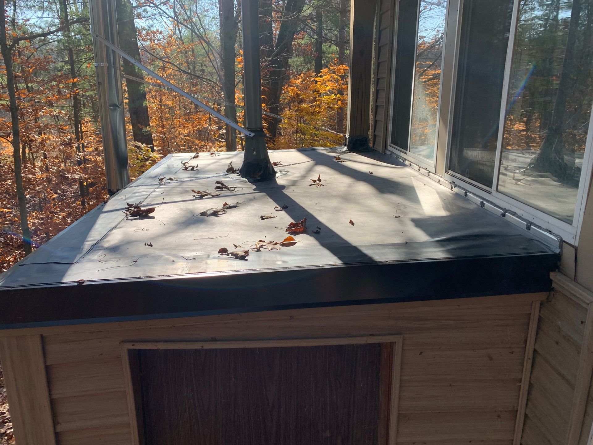 Sunlit rooftop deck with two trees and a wooded autumn view through large windows