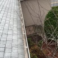 A roof gutter filled with debris, viewed from above, with a bare tree branch extending over it next to a house exterior.