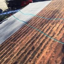 A high-angle view shows a roof partially cleaned by power washing, revealing a contrast between dark grime and clean shingles.