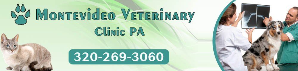Montevideo Veterinary Clinic PA - logo