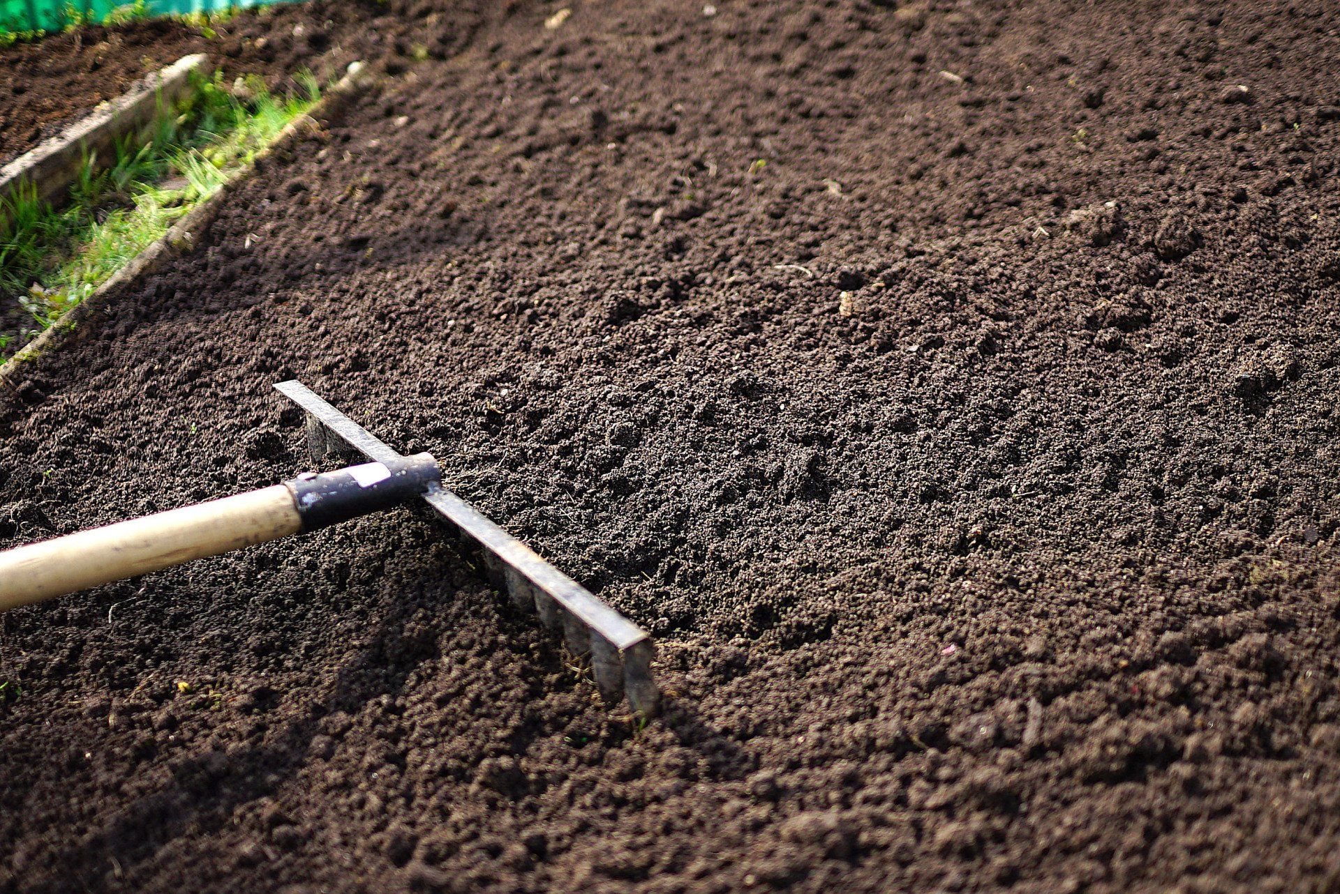 tung buste symbol Top Soil: Here's What You Need to Know