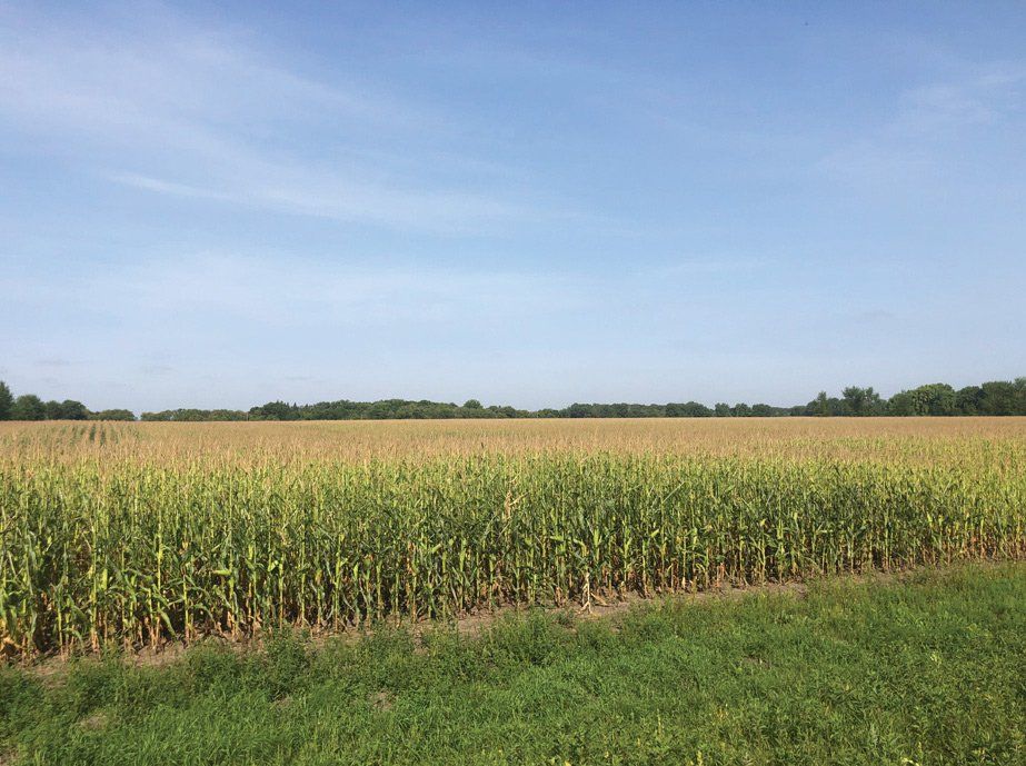 Johnson Auction and Realty LLC Real Estate Fargo, ND