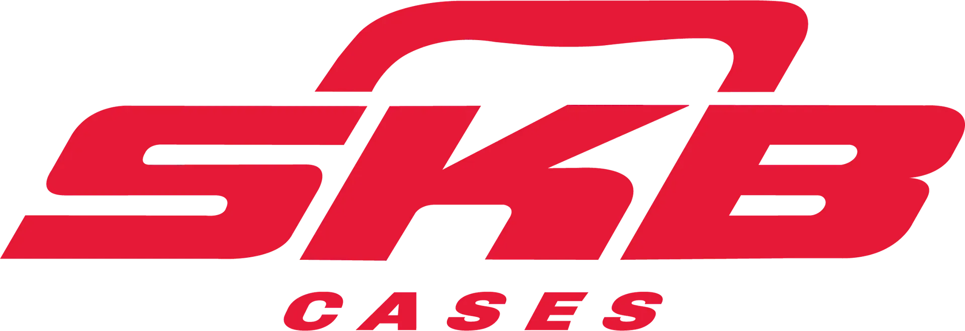 SKB Cases