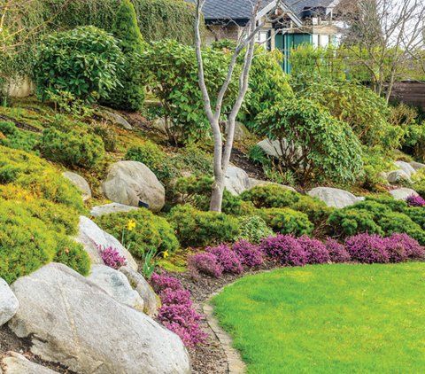 Landscaping