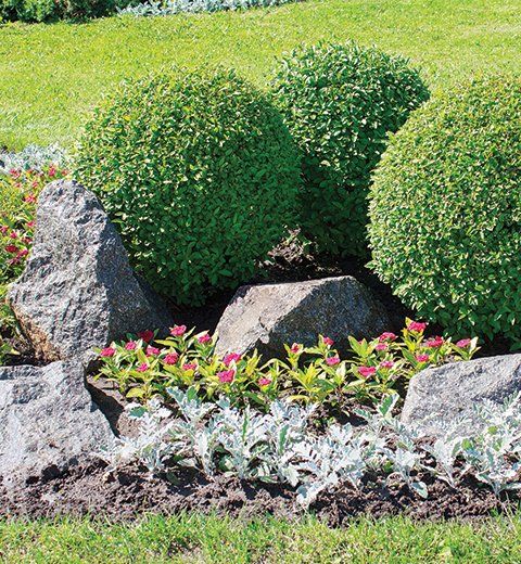 Landscaping