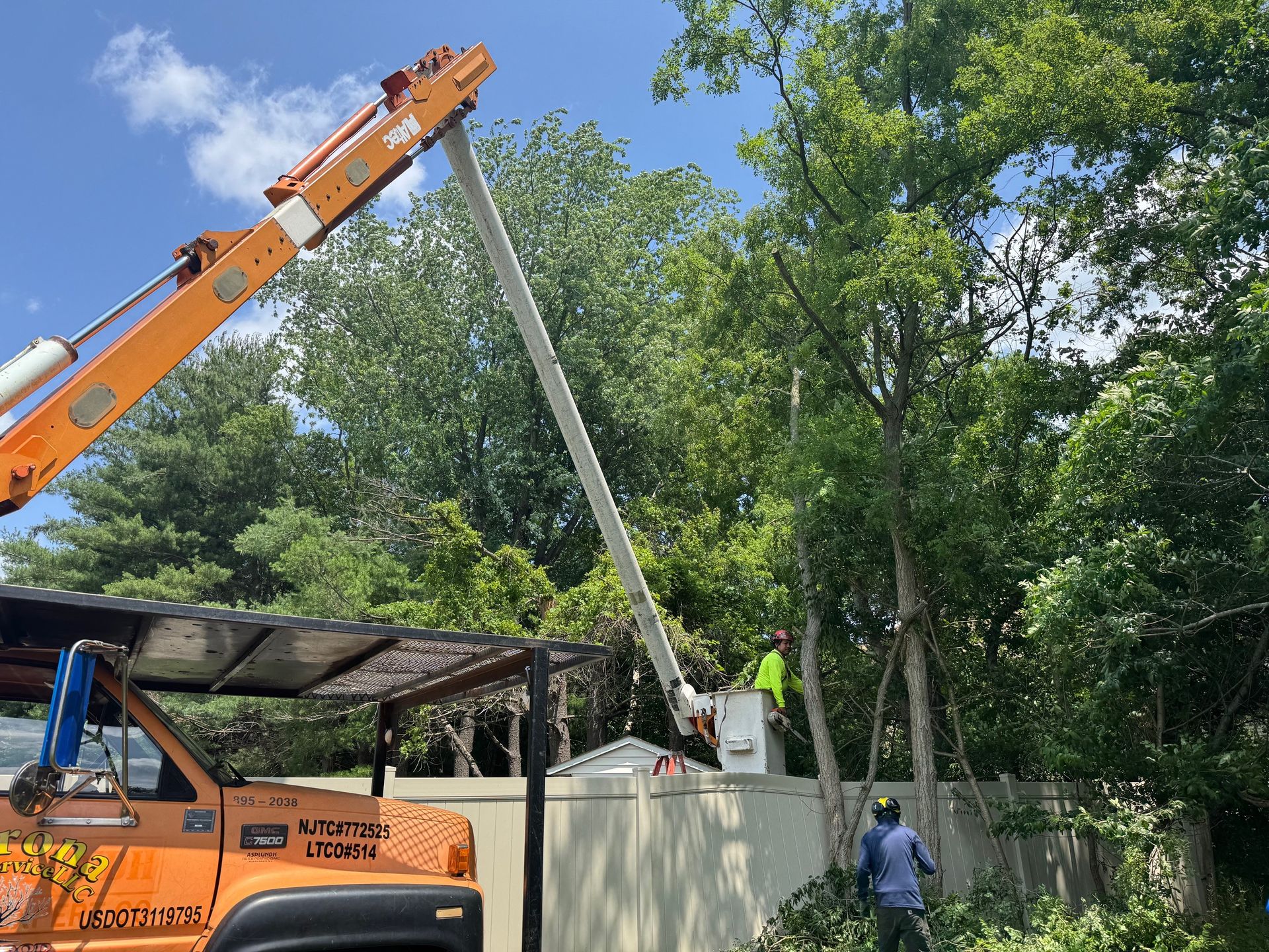 A man is cutting a tree with a crane.