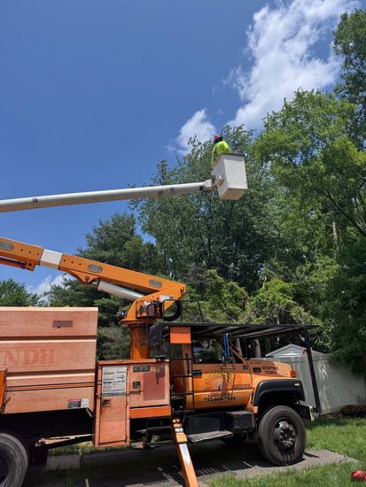 A man is standing in a bucket on top of an orange truck.
