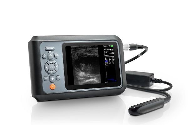 v6 veterinary ultrasound scanner