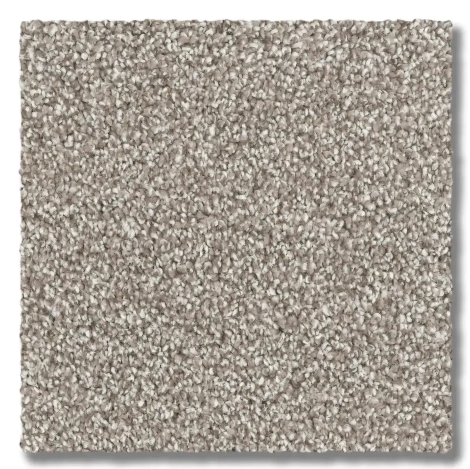 Neutral-toned, speckled carpet sample. Textured, looped pile in shades of beige and gray.