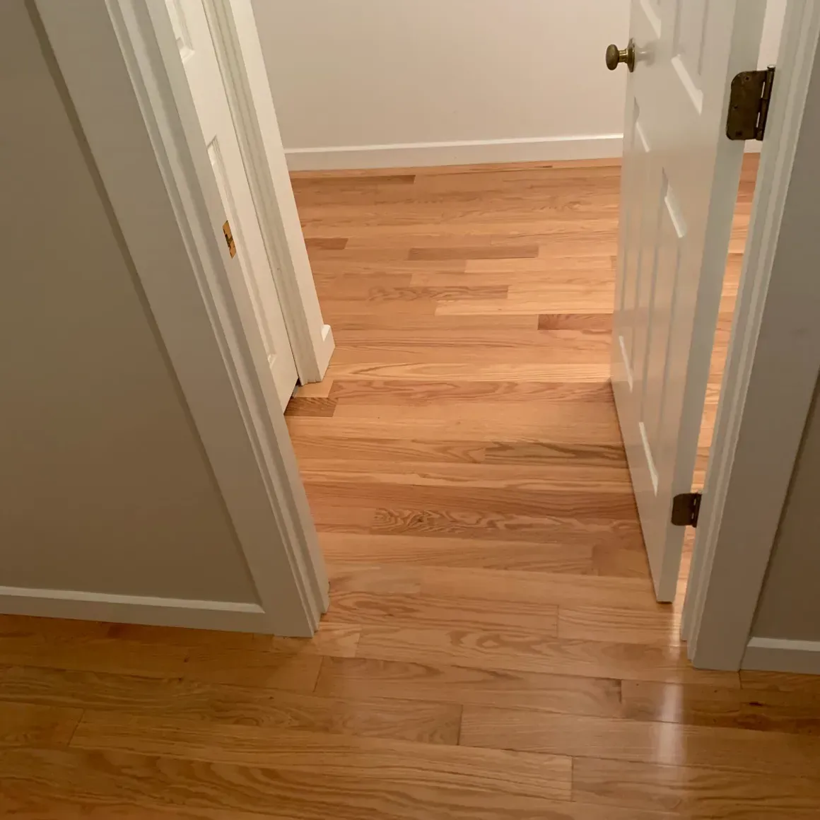 A hallway with hardwood floors and a white door.