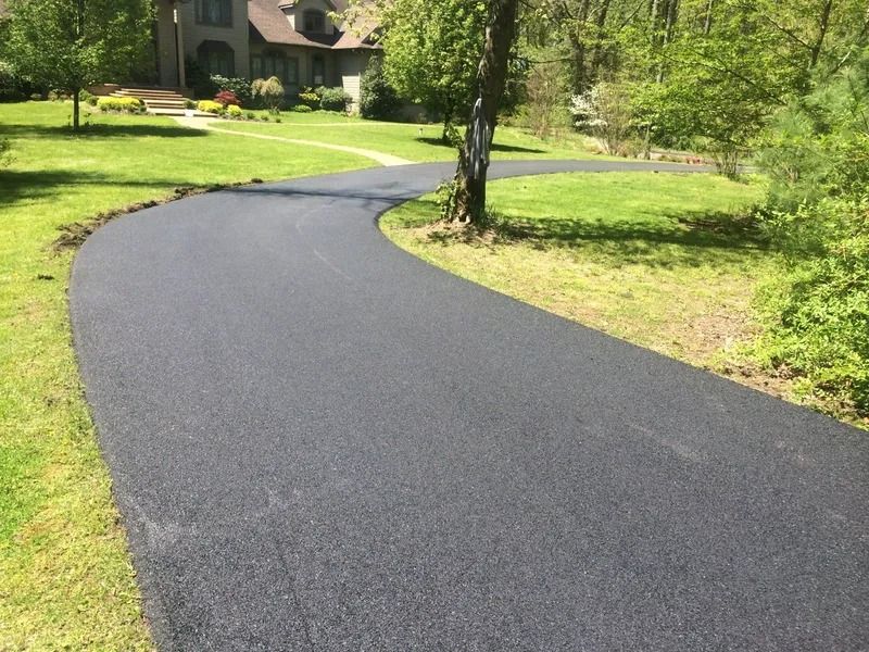 Asphalt driveway curves through grassy yard toward a house with landscaping.