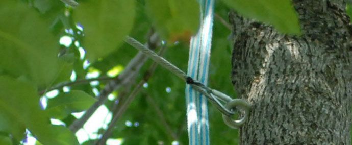 tree-cable