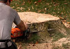 stump-removal