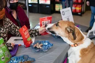 Dog sniffing treat display at a table with colorful pet food packages and a masked person nearby