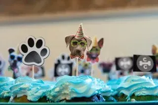 Cat figures and paw-print signs behind blue frosting on a decorated display