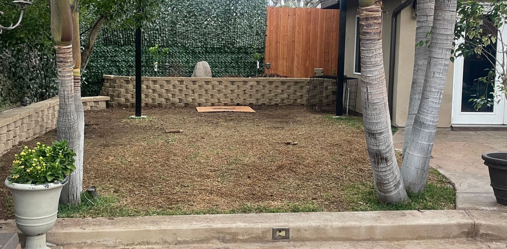 A backyard with dead grass, trees, a stone wall, and a wooden fence - before.